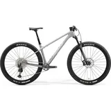 Merida Big.Nine TR 5000 2025 29 Zoll RH 50 cm grau