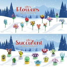luxuskollektion Spielzeug-Adventskalender 2024 Sukkulenten