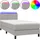 vidaXL Boxspringbett 100 x 200 cm Hellgrau