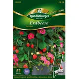 Quedlinburger Erdbeere Toscana Loses Saatgut