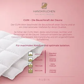 HANSKRUCHEN GmbH Hanskruchen, Rubin (620 g, Daune, 155 x 220 cm)