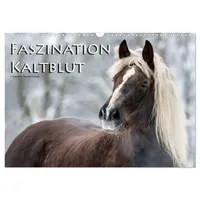 Calvendo Faszination Kaltblut (Wandkalender 2026 DIN A3 quer), CALVENDO