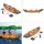 BESTWAY Lite-Rapid X2 orange
