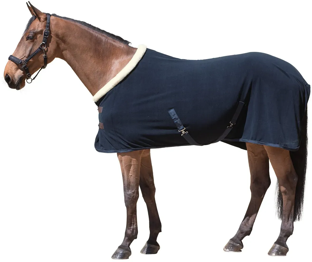 Cheval de Luxe Abschwitzdecke La Rochelle navy 135 cm
