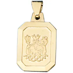 Sternzeichen-Anhänger JOBO "Sternzeichen Wassermann", gold (gelbgold 333), Schmuckanhänger, Damen, Gelbgold 333, 333 Gold