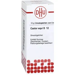 Castor equi D12