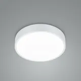 Trio Trio, Leuchten Waco LED 627413031,