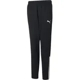 Puma teamLIGA Training Pants Jr, black/PUMA white 140