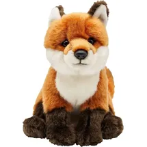 nature de brenne, francja Rotfuchs sitzend 21 cm