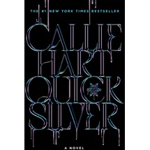 Little, Brown and Company Quicksilver (Standard Edition)