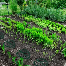 Relaxdays Trittstein Blatt 26 x 32 cm grün