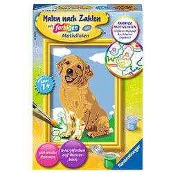 Ravensburger Malen-nach-Zahlen Kleiner Golden Retriever mehrfarbig