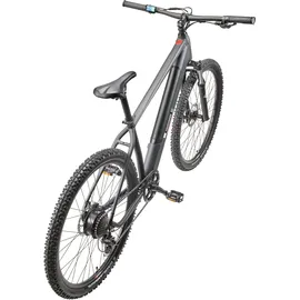 Telefunken E-MTB Aufsteiger M919 2023 29 Zoll RH 48 cm grau