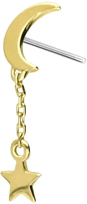 14 Karat Gold Aufsatz mit Titan Push Pin MOND + STERN