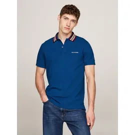 Tommy Hilfiger Poloshirt GIFTING POLO RWB COLLAR REG POLO Streifen an Kragen und Bündchen blau XXXL