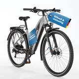 Fischer TERRA 2.2 29 Zoll RH 45 cm Unisex grau