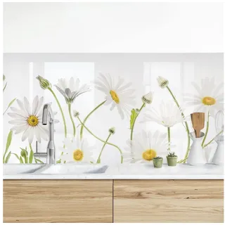 Bilderdepot24 Küchenrückwand weiß dekor Blumen Landhaus Leichter Gänseblümchen Mix II, (1-tlg., Nischenrückwand - für Fliesenspiegel ohne Bohren - matt), Spritzschutz Rückwand Küche Herd - Folie selbstklebend versch. Größen weiß 175 cm x 50 cm