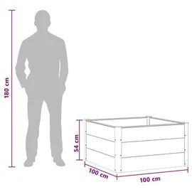 vidaXL Hochbeet 100 x 100 x 54 cm Schwarz