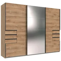 Premium Living Schwebetürenschrank Saigon 270 x 208 x 0 cm Braun