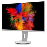 Fujitsu P2711 TE QHD LED-Display 68.5cm (27") weiß