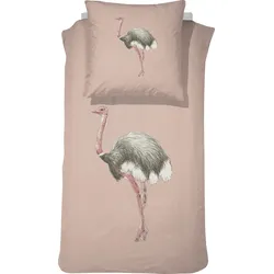 damai Kinderbettwäsche »Sloane«, mit Vogel Strauß damai pink B/L: 135 cm x 200 cm