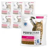 Perfect Fit Adult Trockenfutter für erwachsene, aktive Katzen ab 1 Jahr - Rind, 750g (6 Beutel)