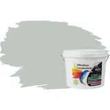 RyFo Colors Silikonharz Fassadenfarbe Lotuseffekt Trend Graugrün 3l - bunte Fassadenfarbe, weitere Grün Farbtöne und Größen erhältlich, Deckkraft Klasse 1