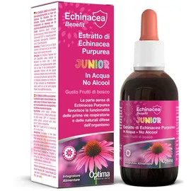 Optima Naturals Echinacea Benefit Extrakt Tropfen 50 ml