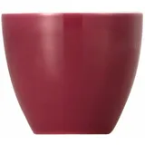 Thomas Sunny Day fuchsia