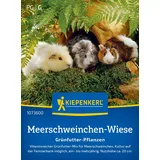 Kiepenkerl Saatgutmischung 'Meerschweinchen-Wiese'