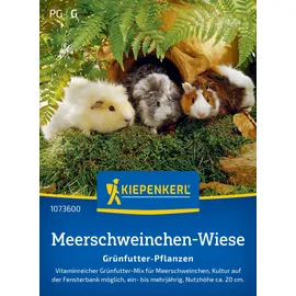 Kiepenkerl Saatgutmischung 'Meerschweinchen-Wiese'