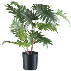 Kunstbaum CREATIV GREEN "Monstera", grün, H:50cm, Kunststoff, Kunstpflanzen, mit detailgetreuem Blattwerk
