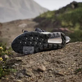 adidas Terrex Anylander Wanderschuh - Aurora Onix / Dash Grey / Legend Ink - 44 2/3