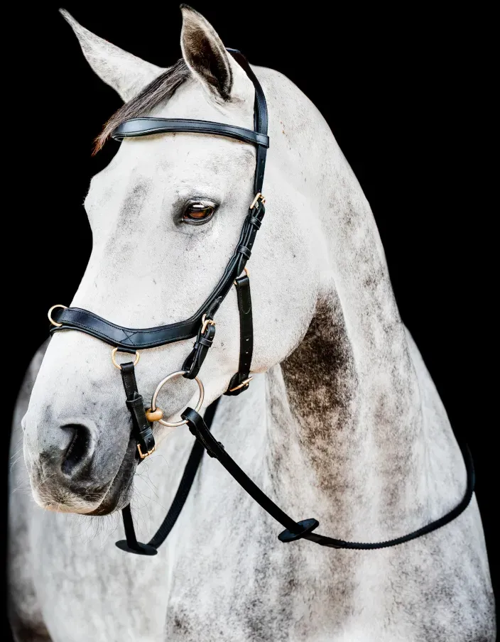 Horseware Micklem II Multi Bridle, Warmblut