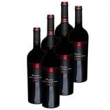 6 x Primitivo Puglia IGT 0.75l (13,5%Vol) Beliebter Rotwein Ionis Vini (Italien)