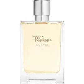 Hermès Terre d'Hermès Eau Givrée Eau de Parfum 100 ml