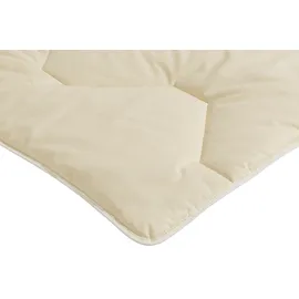 OTTO home Naturfaserbettdecke OTTO HOME "Baumwolle 60 C, Bettdecke 135x200 cm, 155x220 cm, 200x200 cm", beige (natur), B:135cm L:200cm, Bezug: 100% Baumwolle. Füllung: 100% Baumwolle, Bettdecken, Bettdecken, Sommer, Winter, 4 Jahreszeiten, Decke, Made in Germany