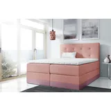 xlmoebel Ehebett 140 x 200 cm Rosa