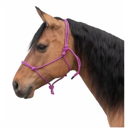 Passion 4Q Knotenhalfter purplepink PONY
