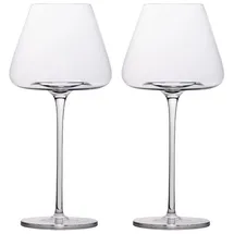 Intirilife 2x Wein Glas mit modernem Design - 600 ml Füllmenge - Weißwein Rotwein Glas Kelch Spülmaschinenfest Kristallglas stoßfest