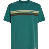 O'Neill O'riginals Front Stripe T-shirt botanical heat (15097) S