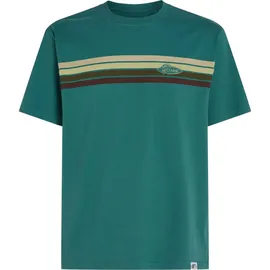 O'Neill O'riginals Front Stripe T-shirt botanical heat (15097) S
