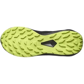 Salomon Herren Alphaglide GTX Schuhe (Größe 42.5 , schwarz)