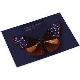 Magnetoplan magnetofix-Sichttasche transparent, 1 mm Magnetgummi A4 hoch