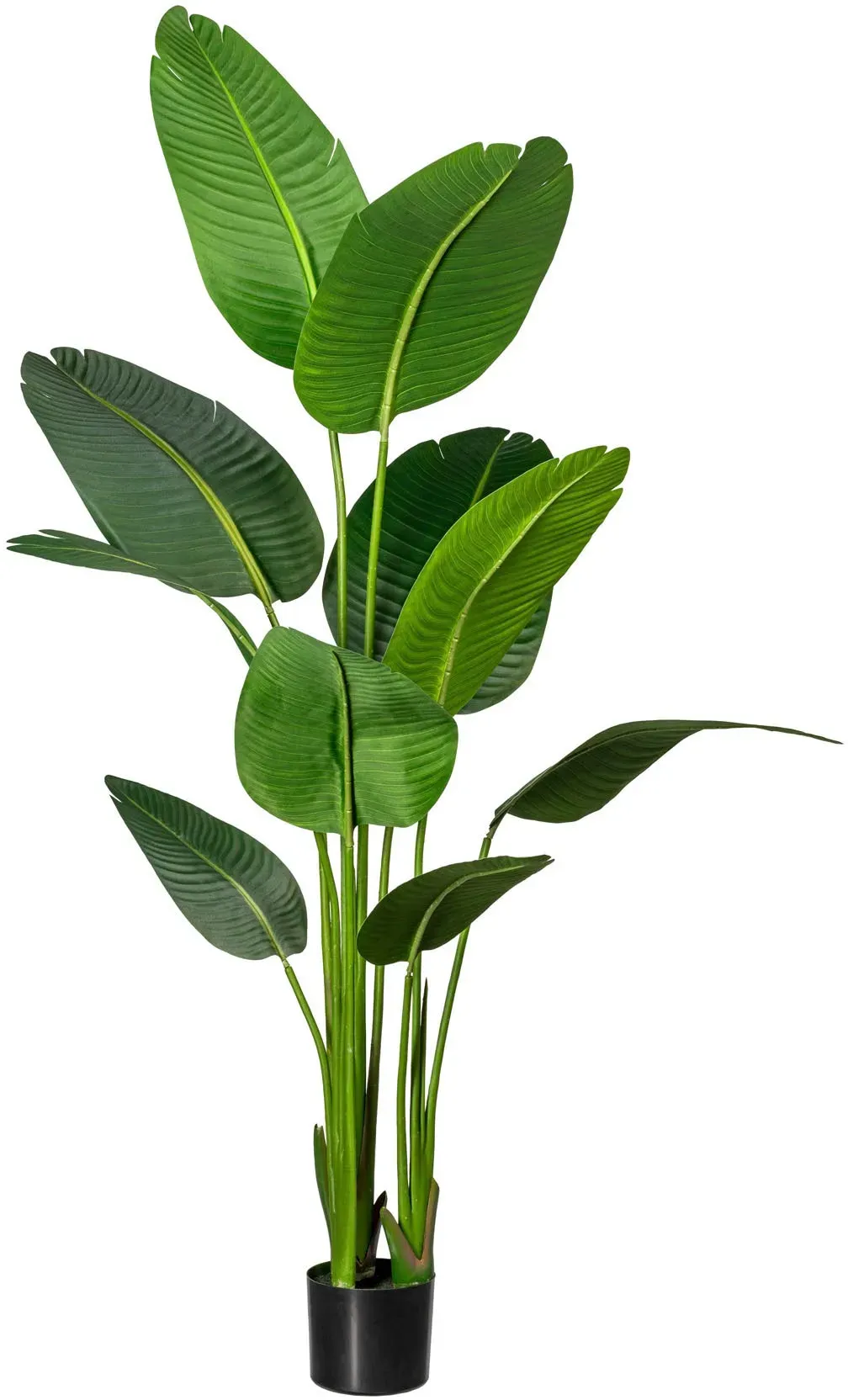 Künstliche Zimmerpflanze CREATIV GREEN 