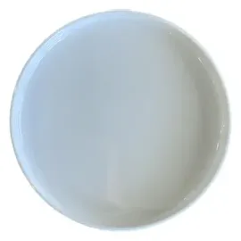 ID Fine 12 ID Fine Teller Stolt-white weiß 21,0 cm