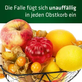 Gardigo Fruchtfliegenfalle orange, 2 St.