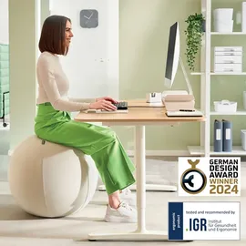 Leitz Sitzball Grau 55 cm