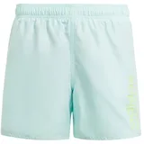 Adidas Kinder Badeshorts Sportswear Essentials, SEFLAQ/GRESPA, 152