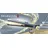 Remington Shine Therapie Pro S9300